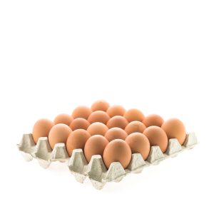 Trứng